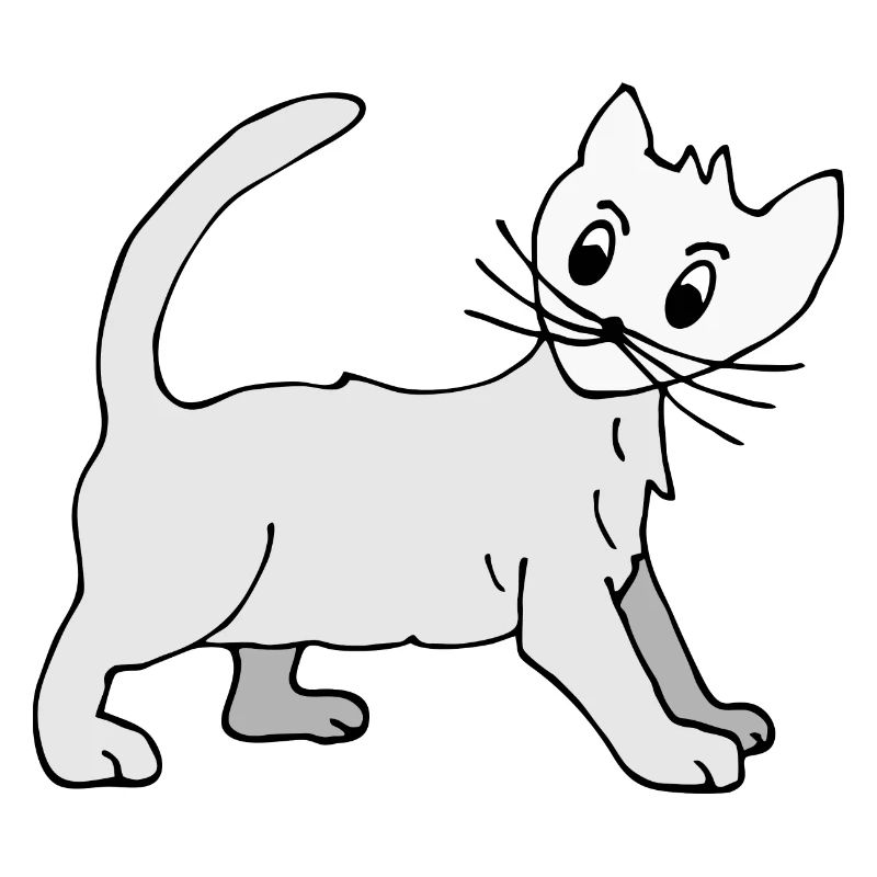 Chat