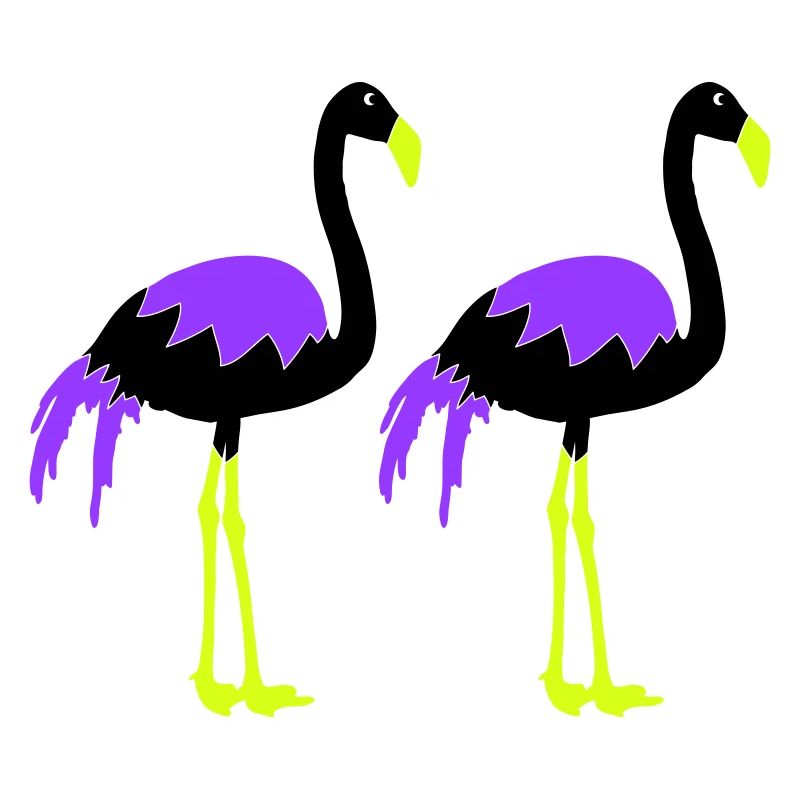 flamingos