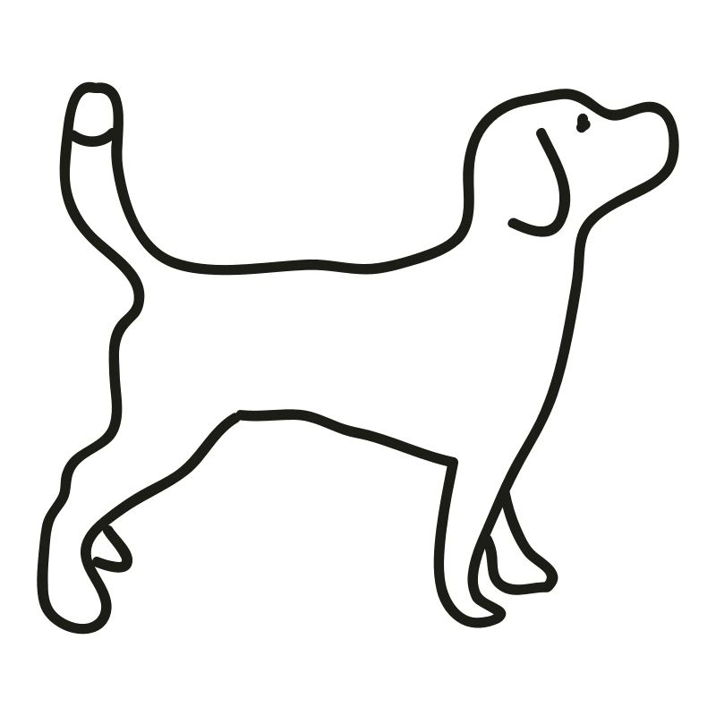 Beagle