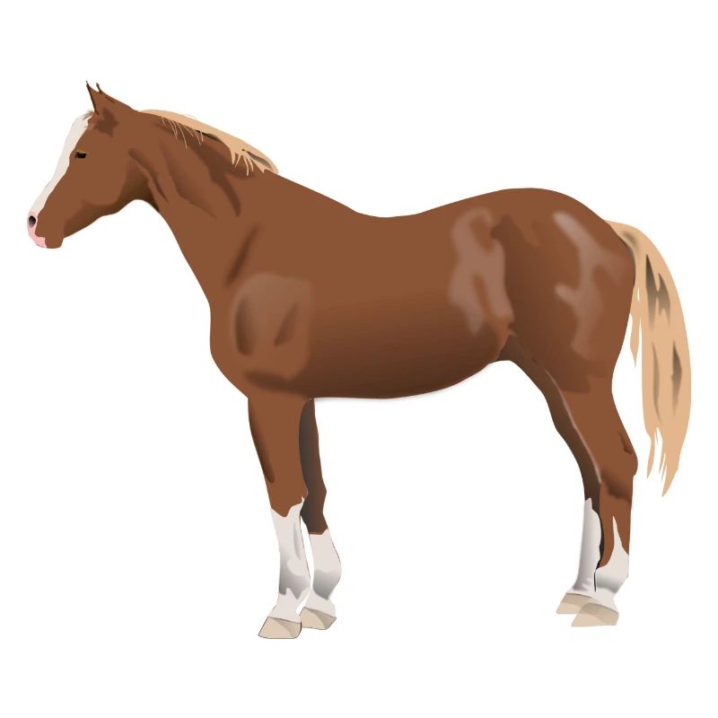 Pferd