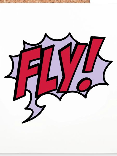 fly