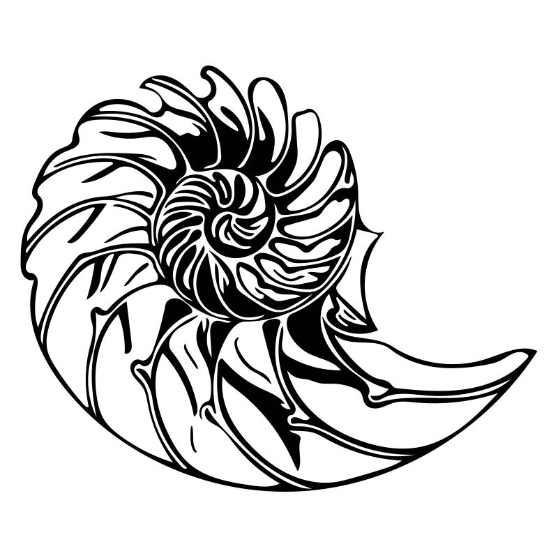 Elegant shell