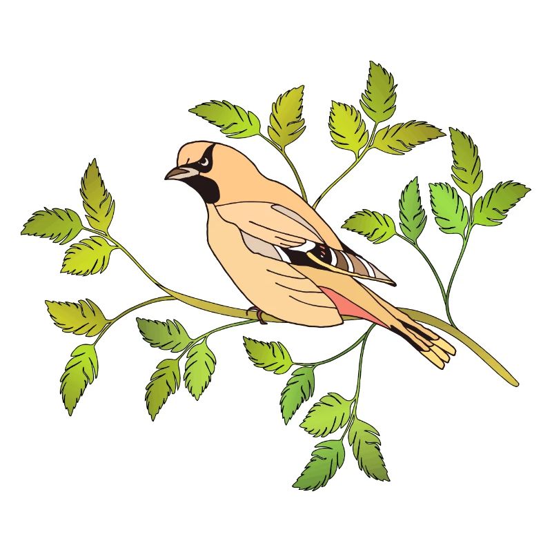 Vogel