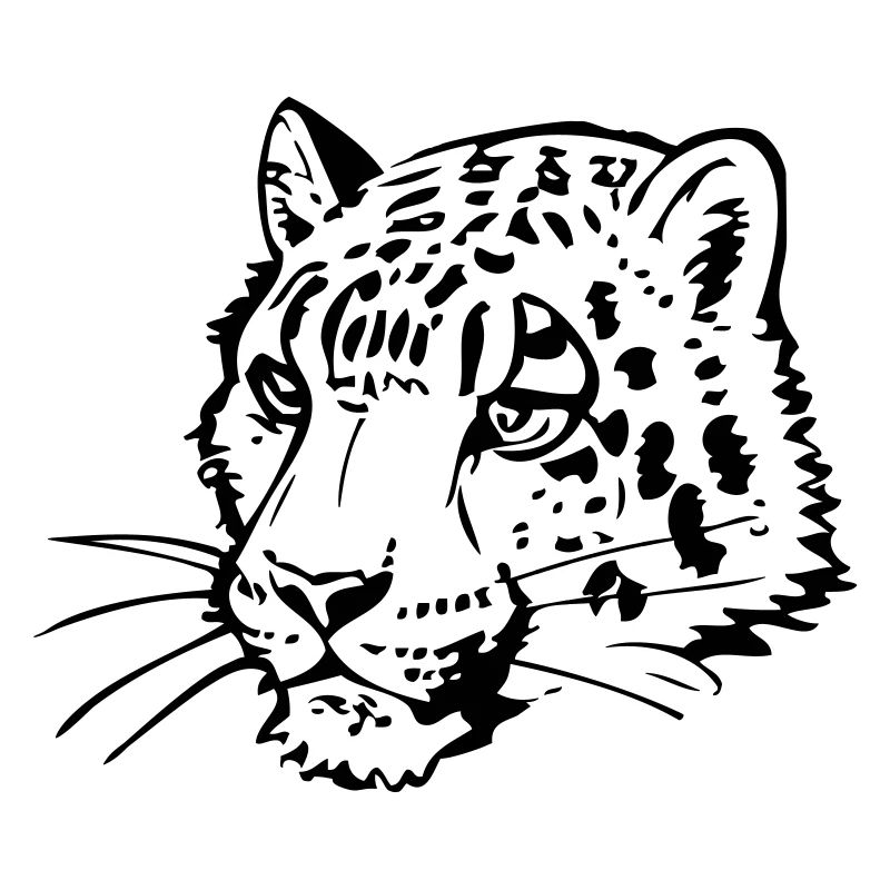 Snow leopard in comic handle