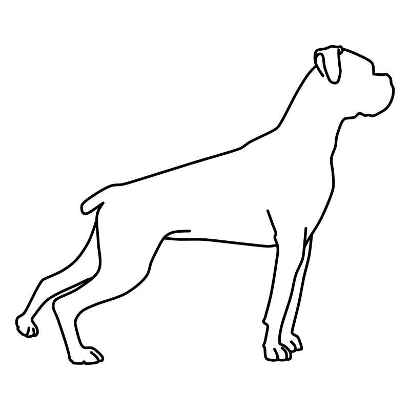 boxer lineart 1