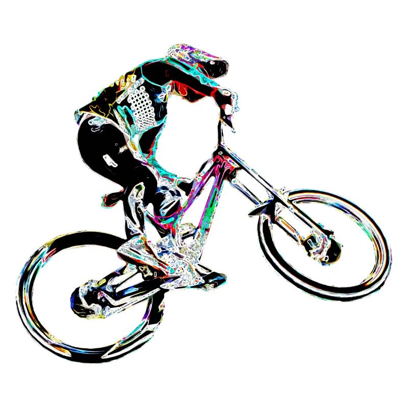 mtb vtt descente