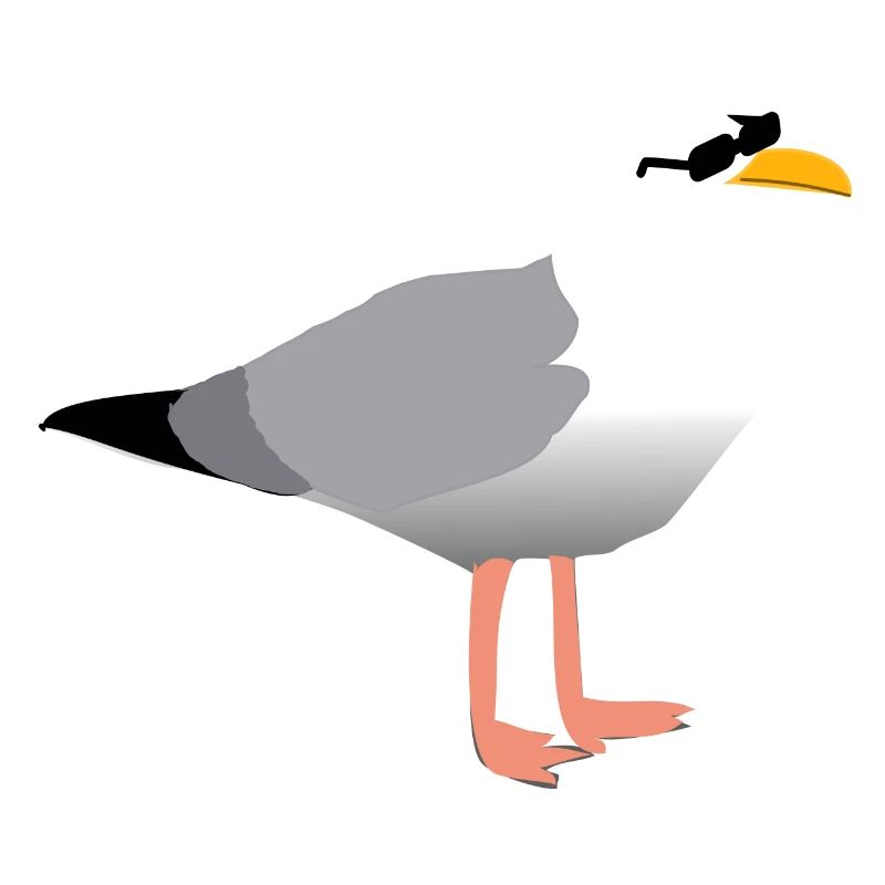 Coole Möwe