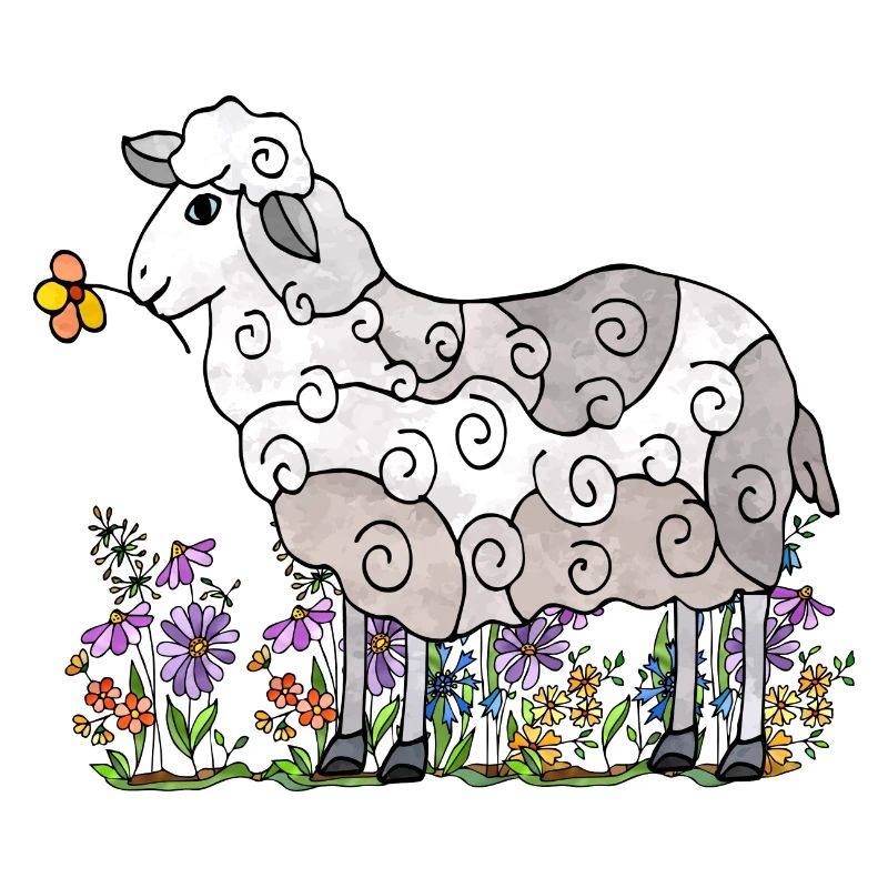 Sheep