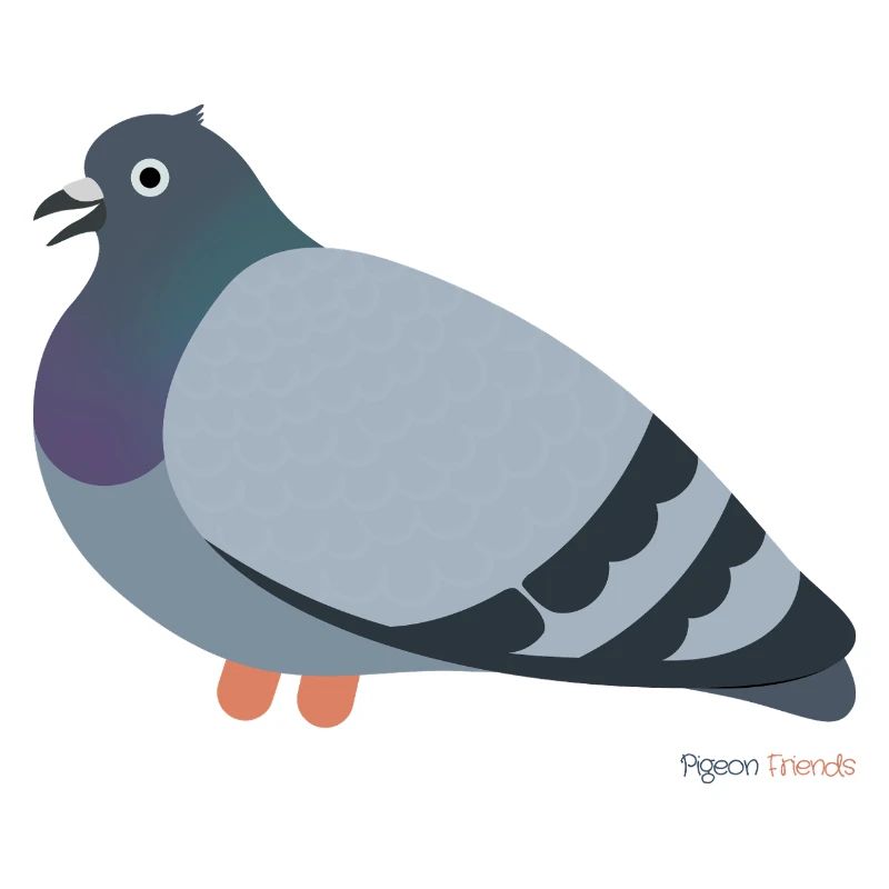 Tauben Vogel