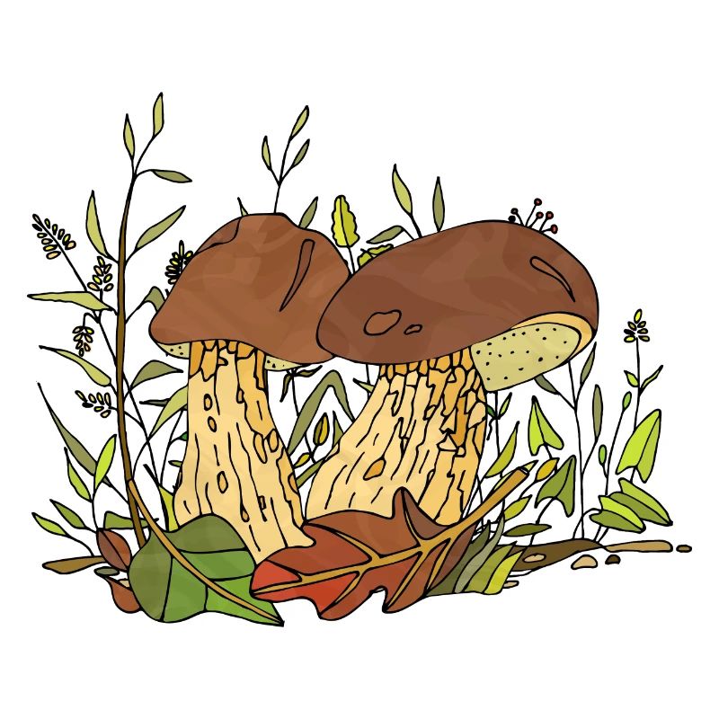 Pilze