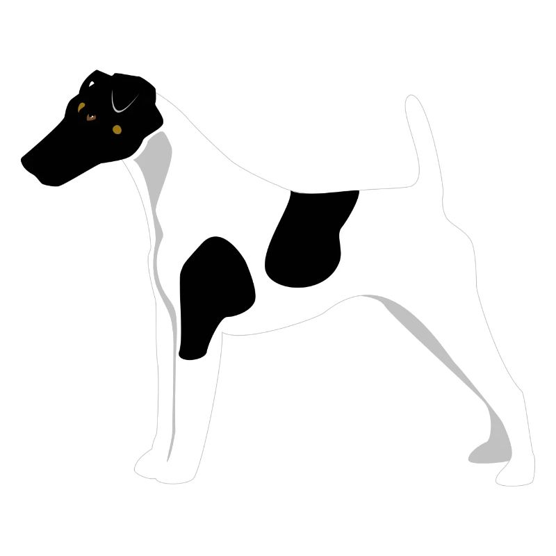 Fox Terrier Glattes Haar