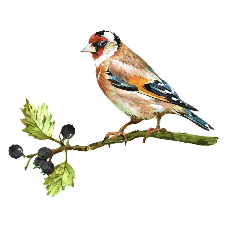 Bunter Vogel