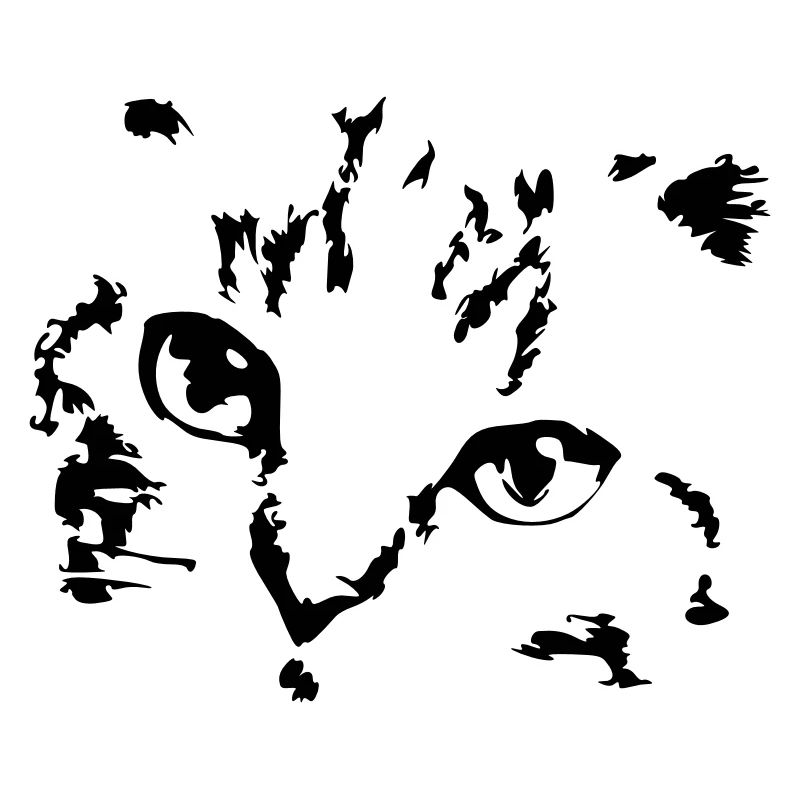 Cat Cats Cat Face Kitten