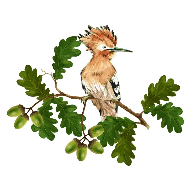 Oiseau coloré