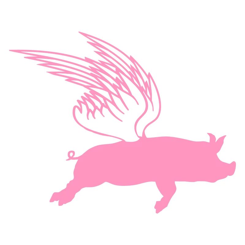 When Flying Wings Flying Pigs Can Fly