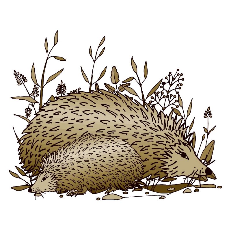 Igel