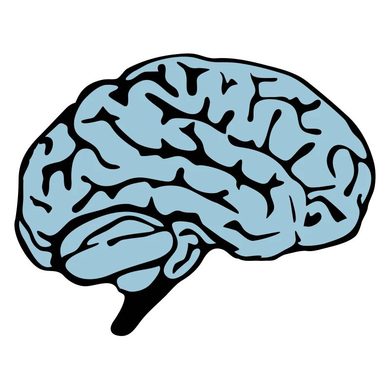 brain design