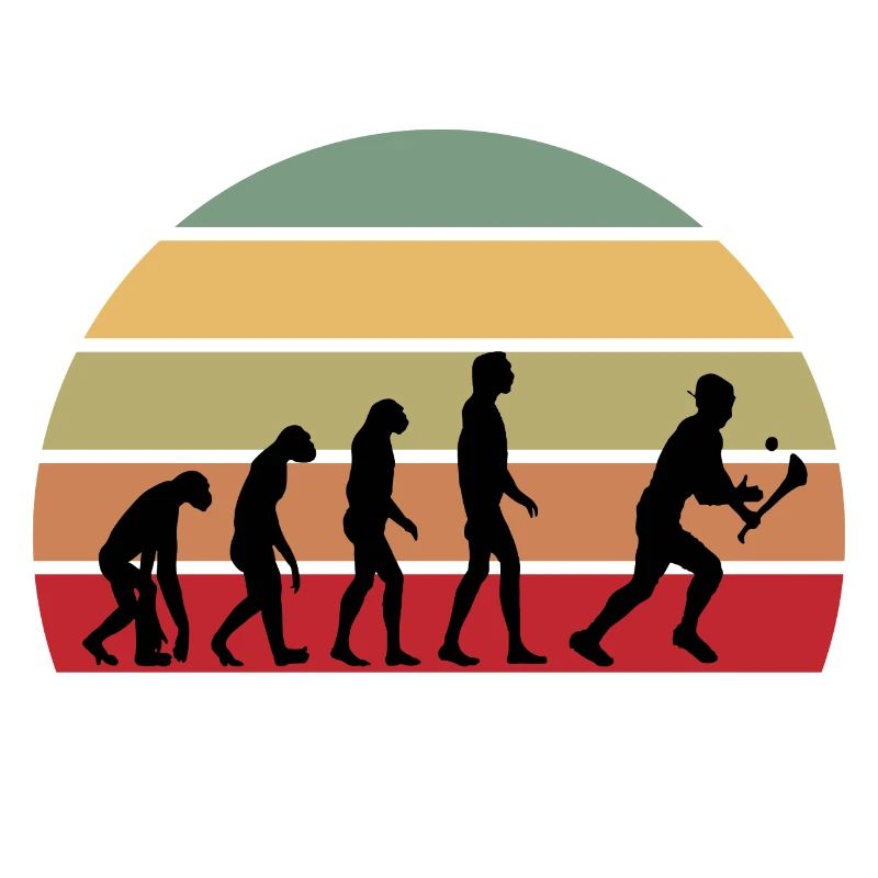 The Evolution of Hurling
