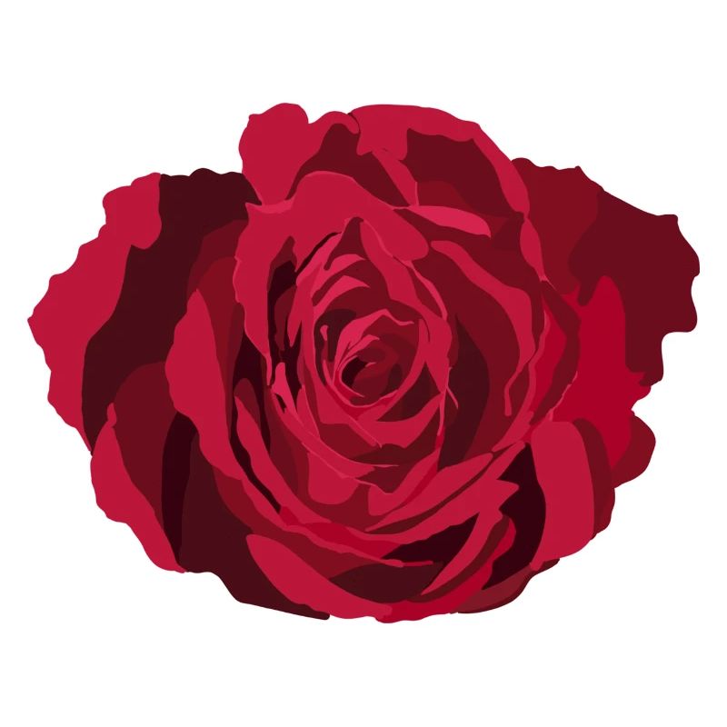 Rote Rose