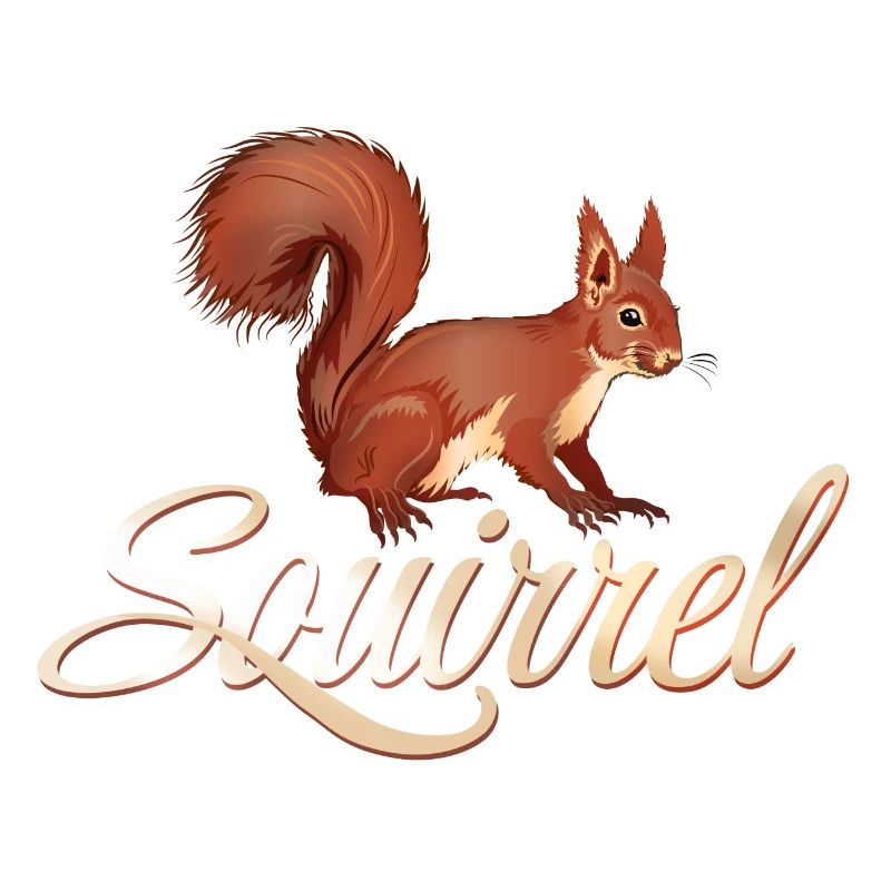 Squirrel Eichhörnchen