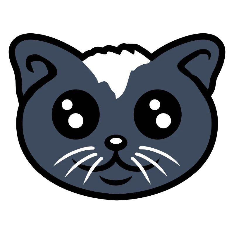 Chat Animal de compagnie Mignon Chaton Friendly