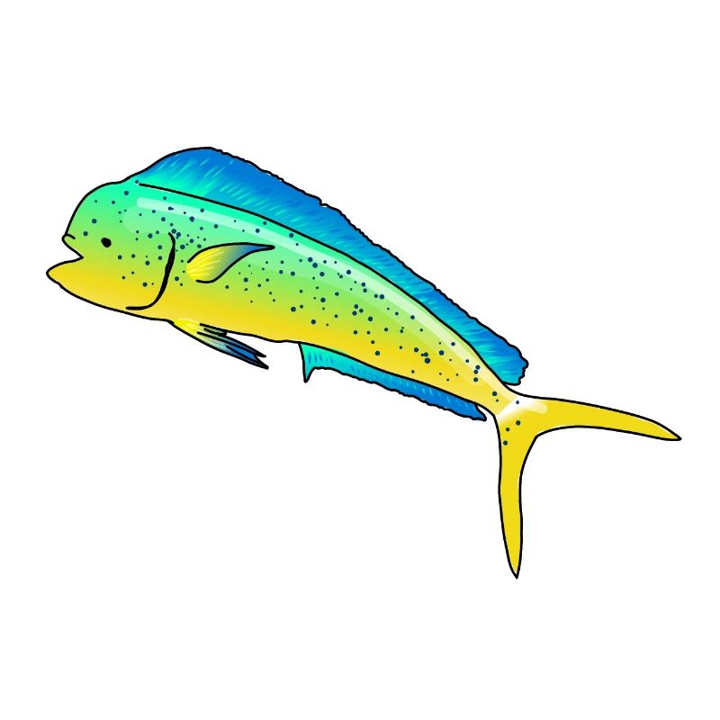 Mahi Mahi (Delphinfisch)
