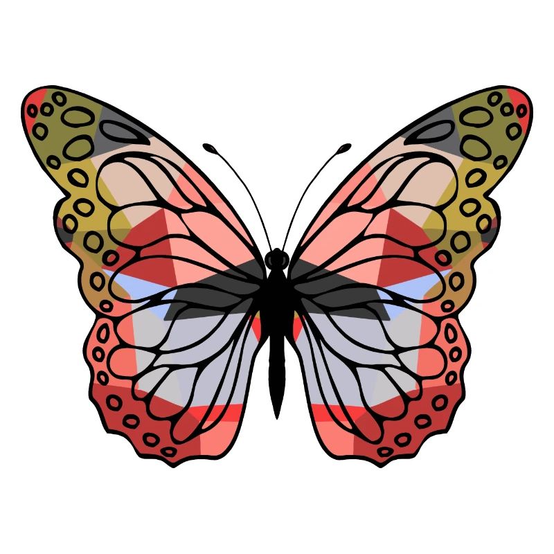 Papillon