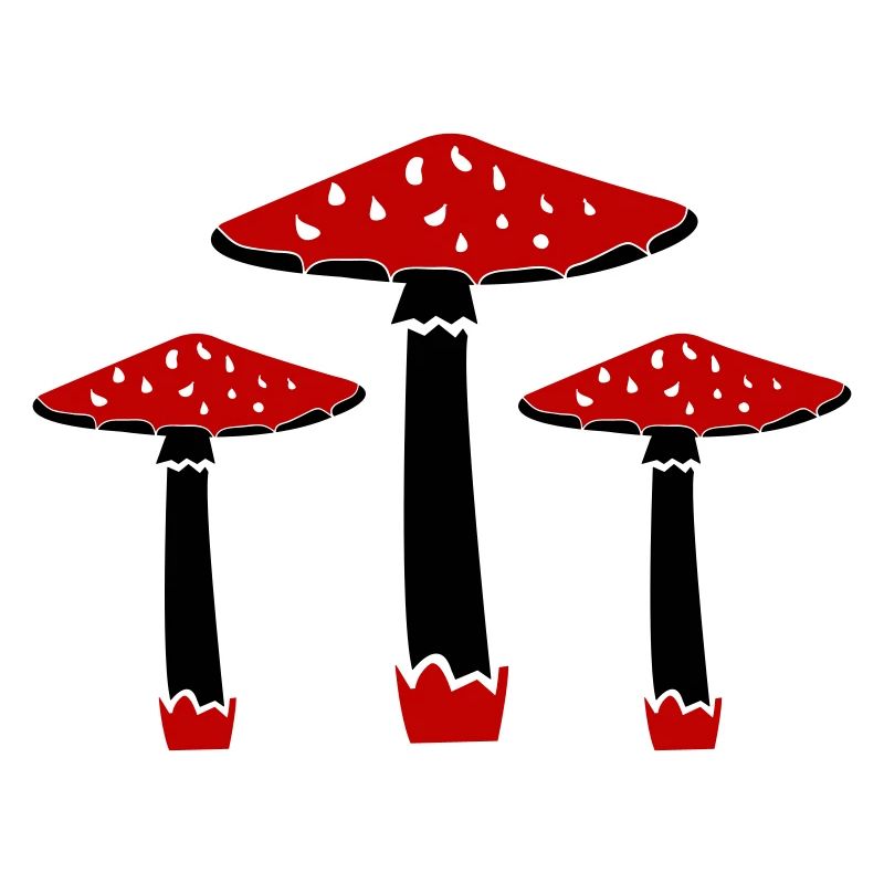 Pilze