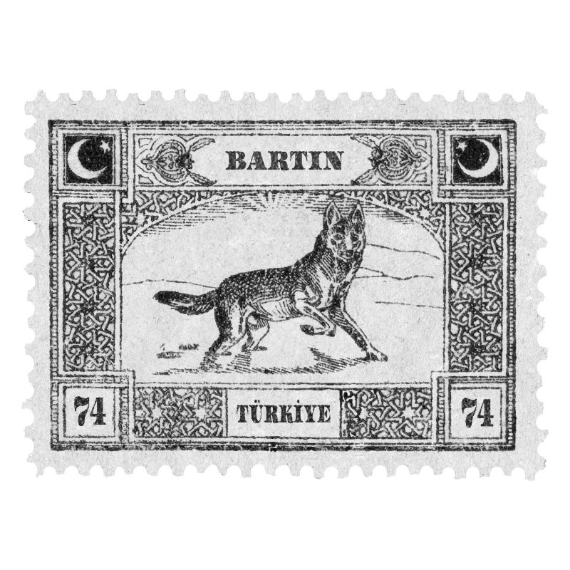 Bartın