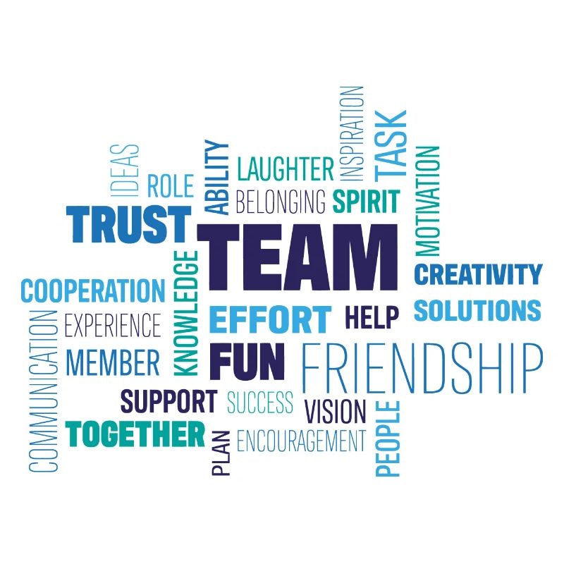 Team