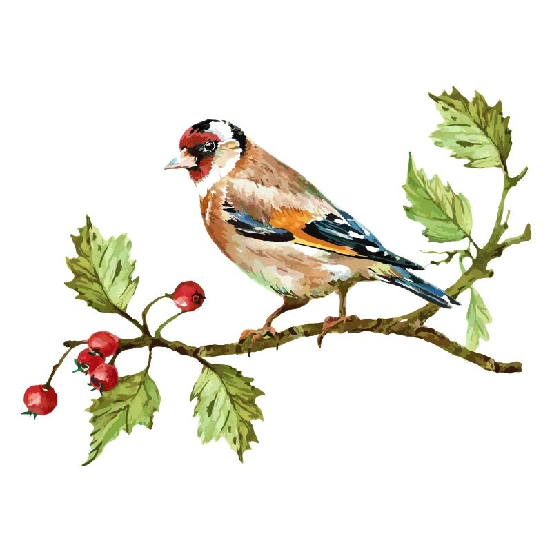 Bunter Vogel