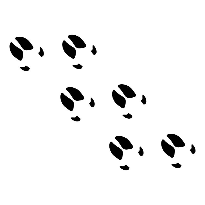 schwein