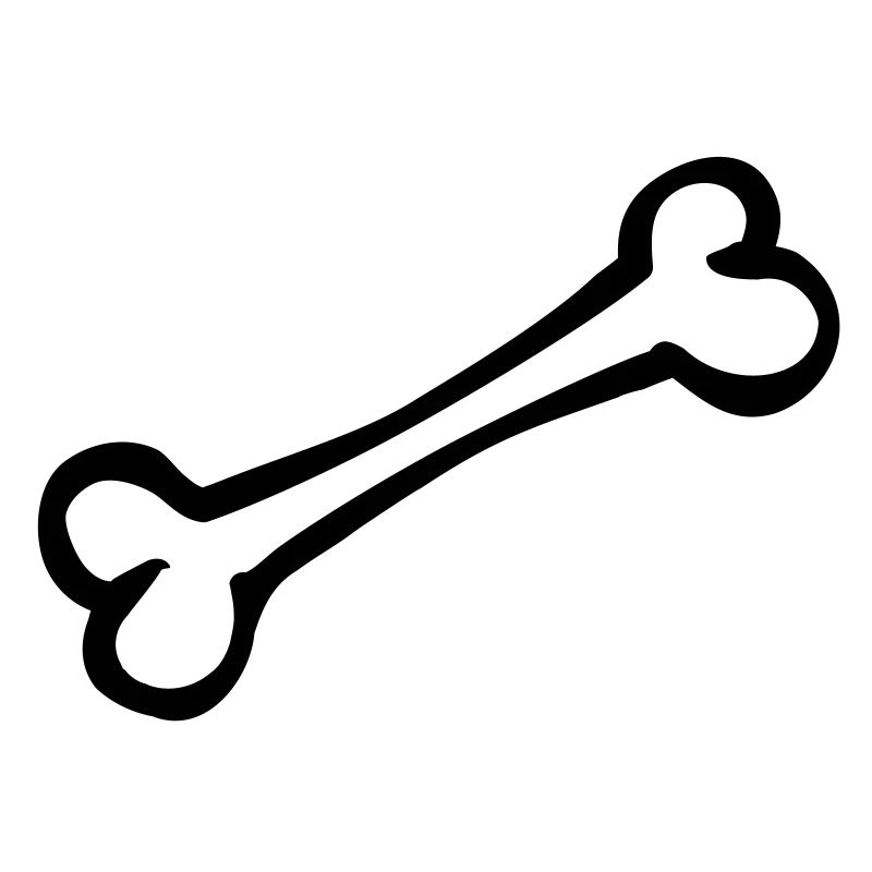 bone_r1