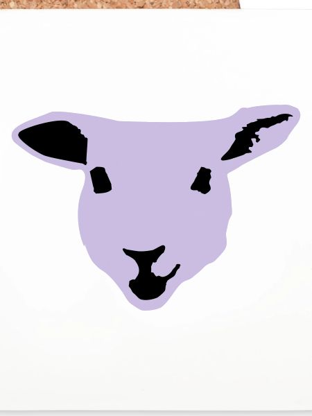 sheep, lamb