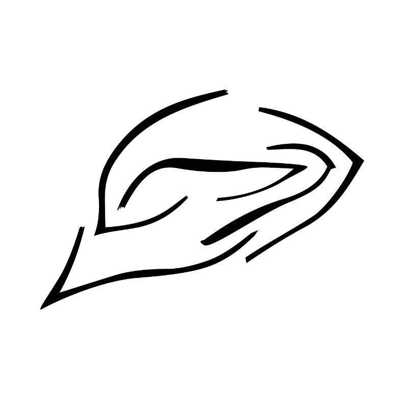 wave