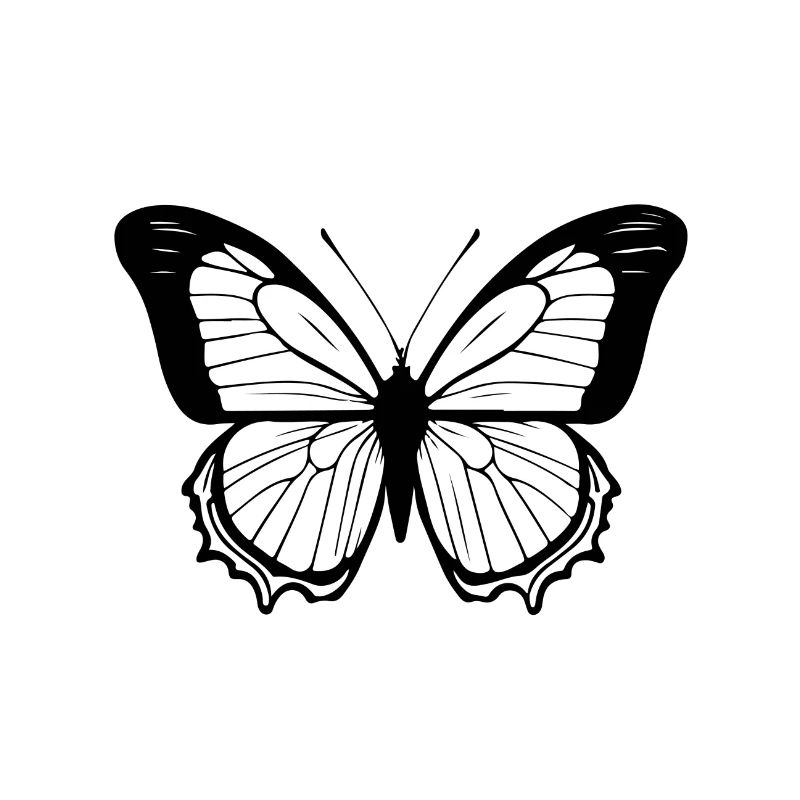 Schmetterling