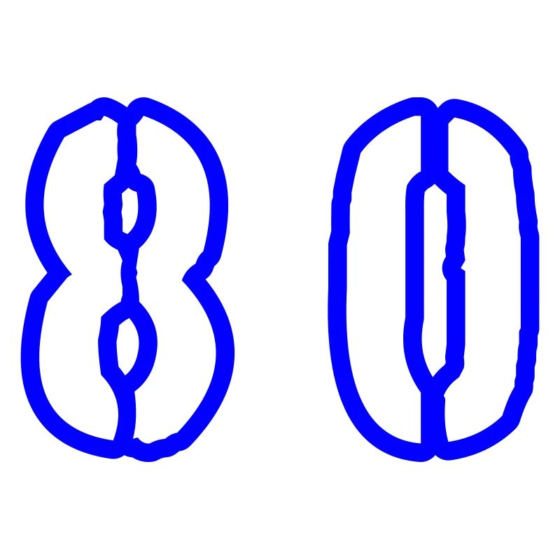 80 Number Symbol