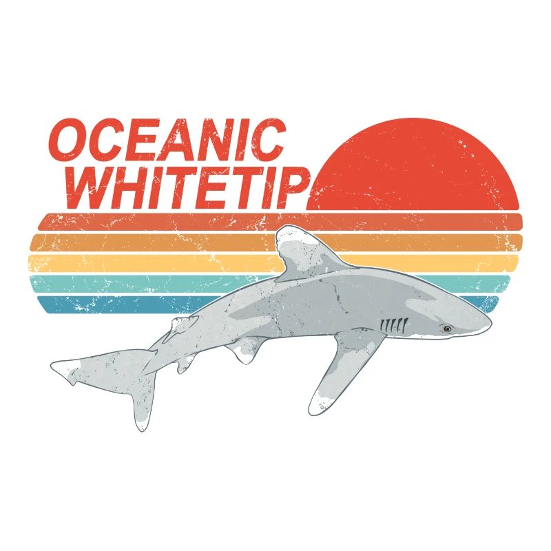 Longimanus Requin à pointes blanches