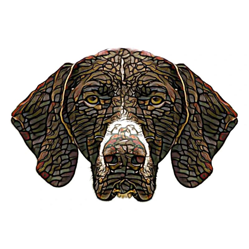 German Shorthaired Pointer Face