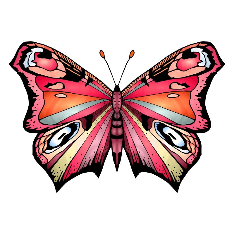 Bunter Schmetterling