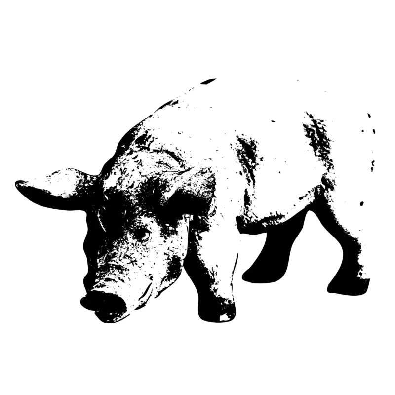 Schwein