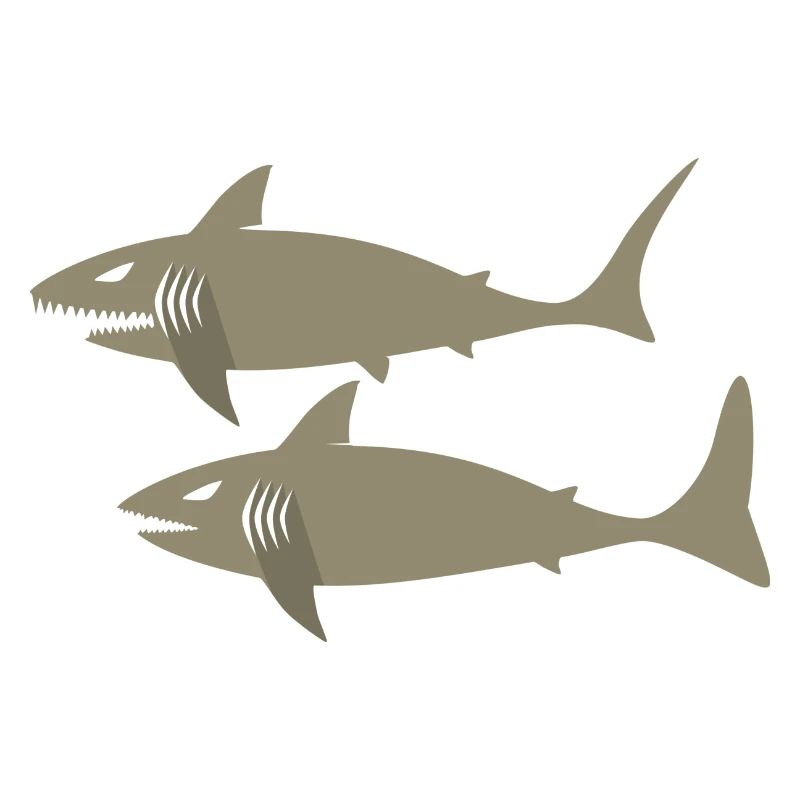 shark6