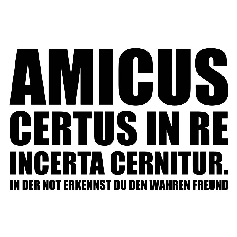 Amicus Certus In Re Incerta Cernitur In
