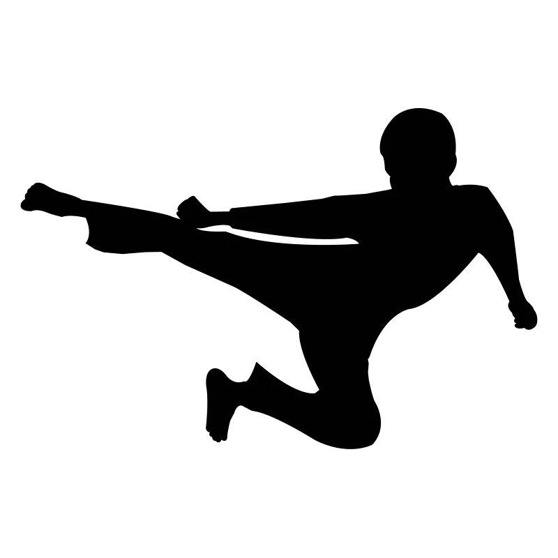 kung_fu