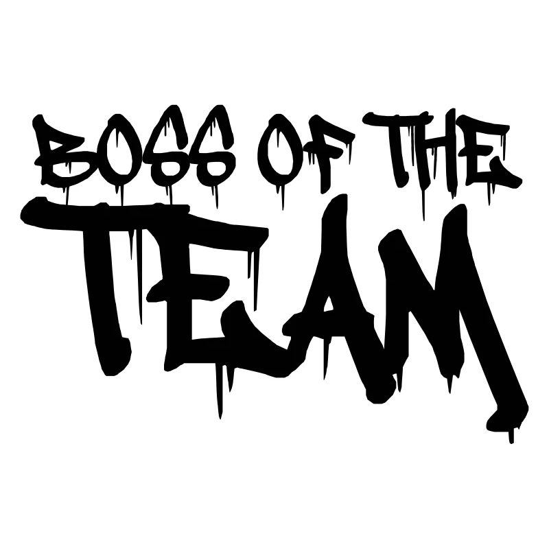 Chef de l’équipe