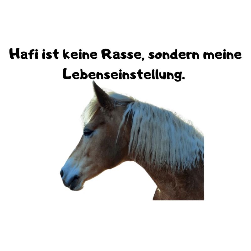 Haflinger Lebenseinstellung