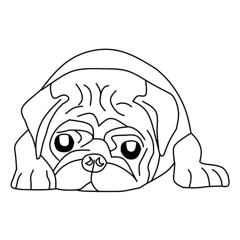 Pug Face - Le compagnon mignon