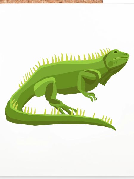 Wildtiere