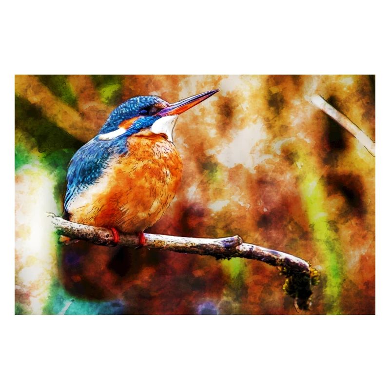 Eisvogel