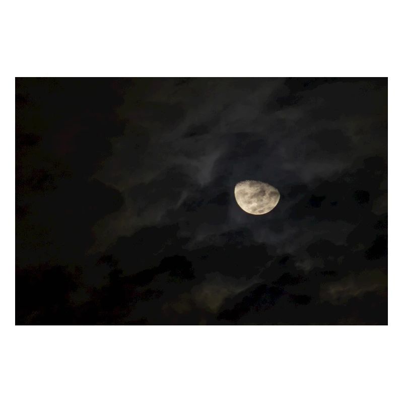 Mond